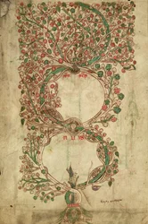 MS 255A fol.12v del Liber Figuarum